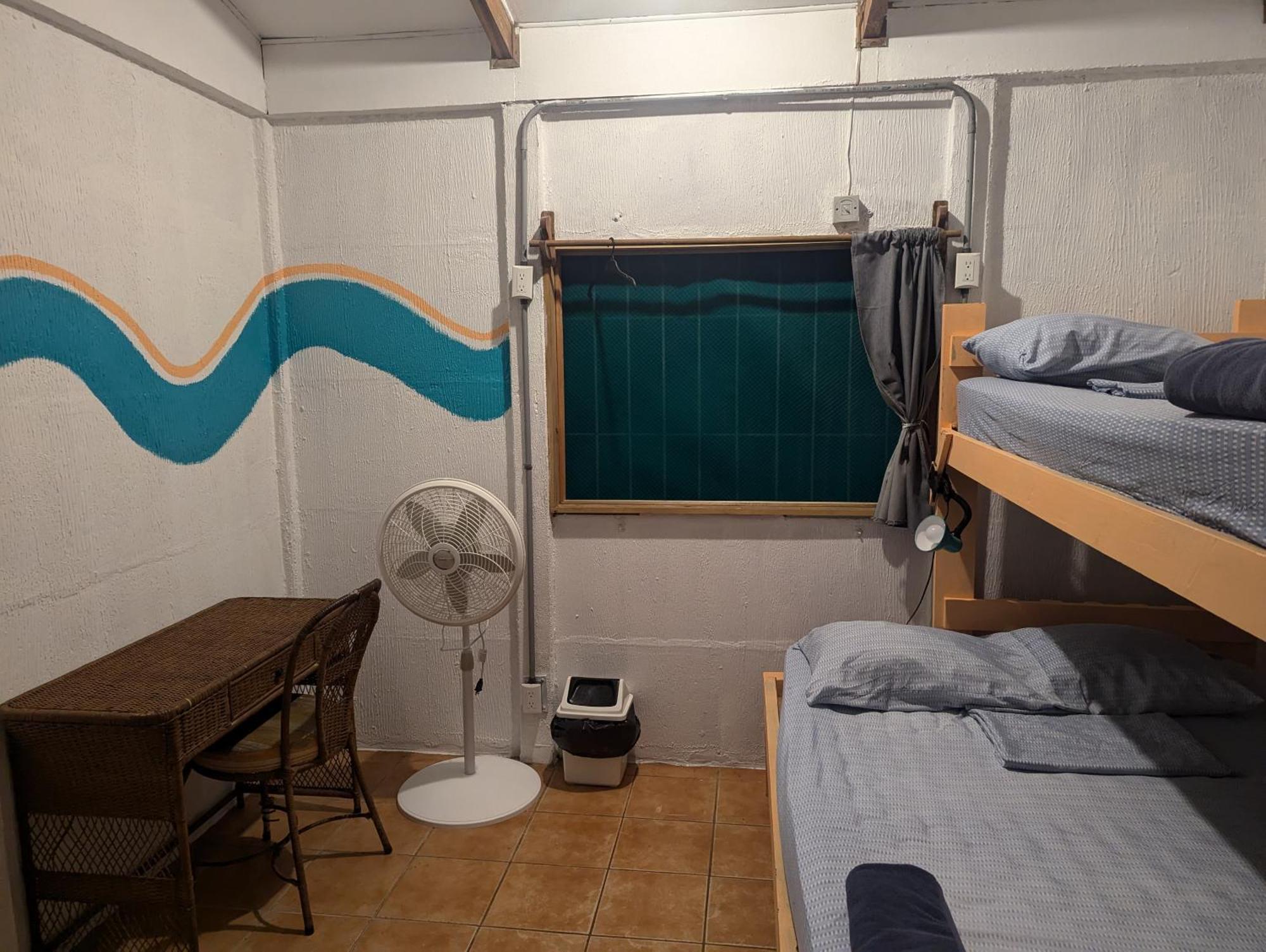 Tasty Dayz Hostel Puerto Viejo de Talamanca 外观 照片