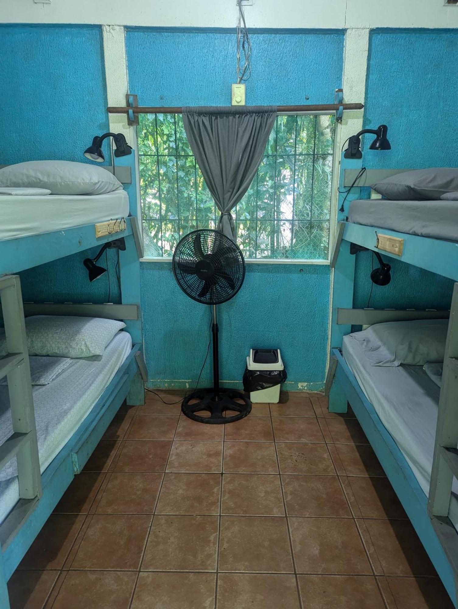 Tasty Dayz Hostel Puerto Viejo de Talamanca 外观 照片