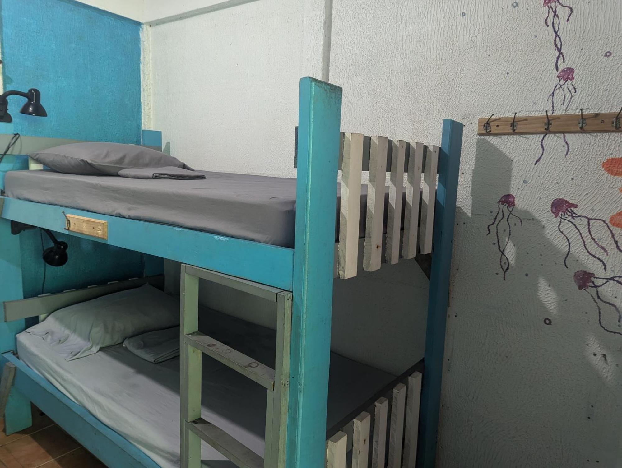 Tasty Dayz Hostel Puerto Viejo de Talamanca 外观 照片