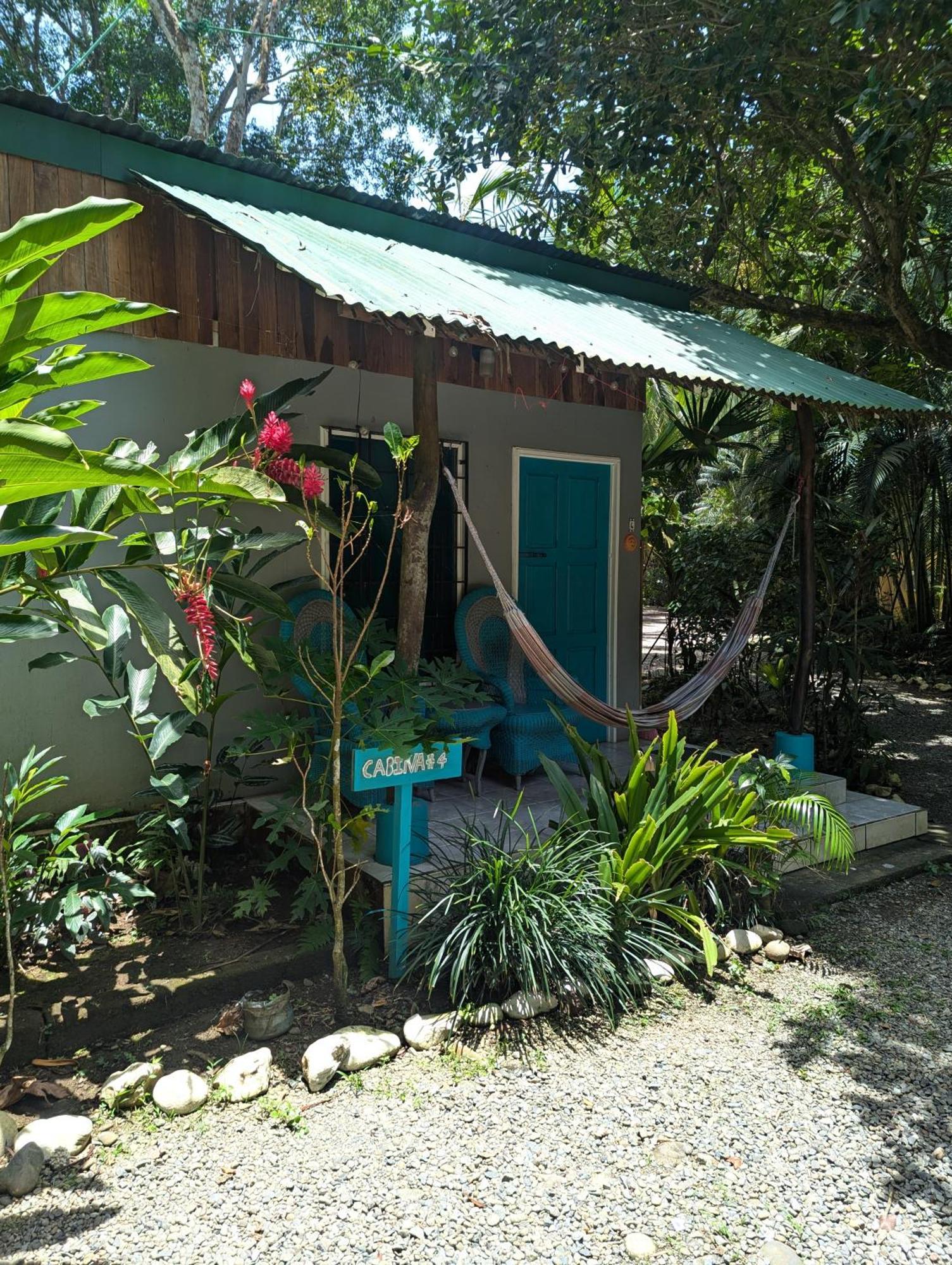 Tasty Dayz Hostel Puerto Viejo de Talamanca 外观 照片
