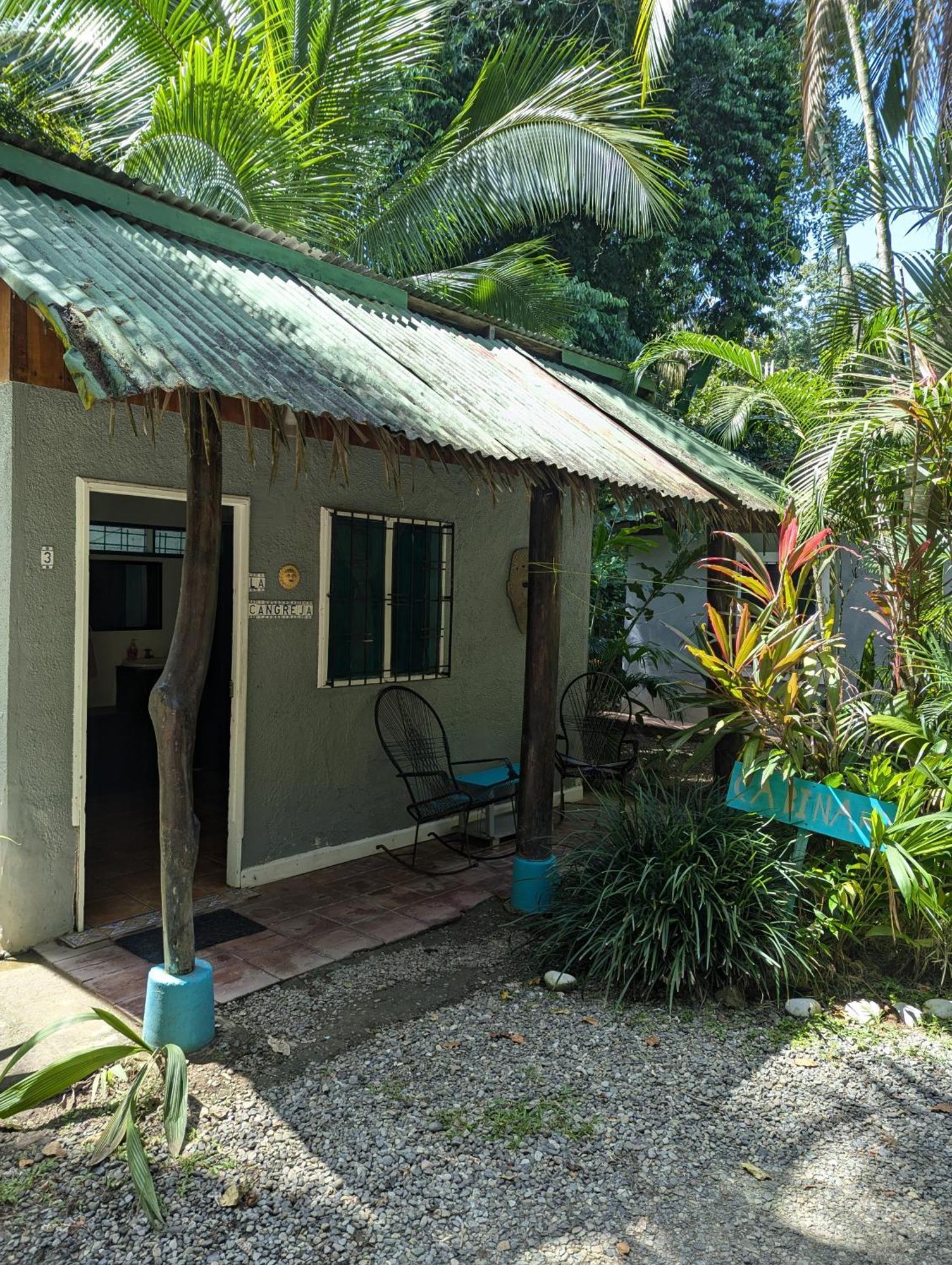 Tasty Dayz Hostel Puerto Viejo de Talamanca 外观 照片