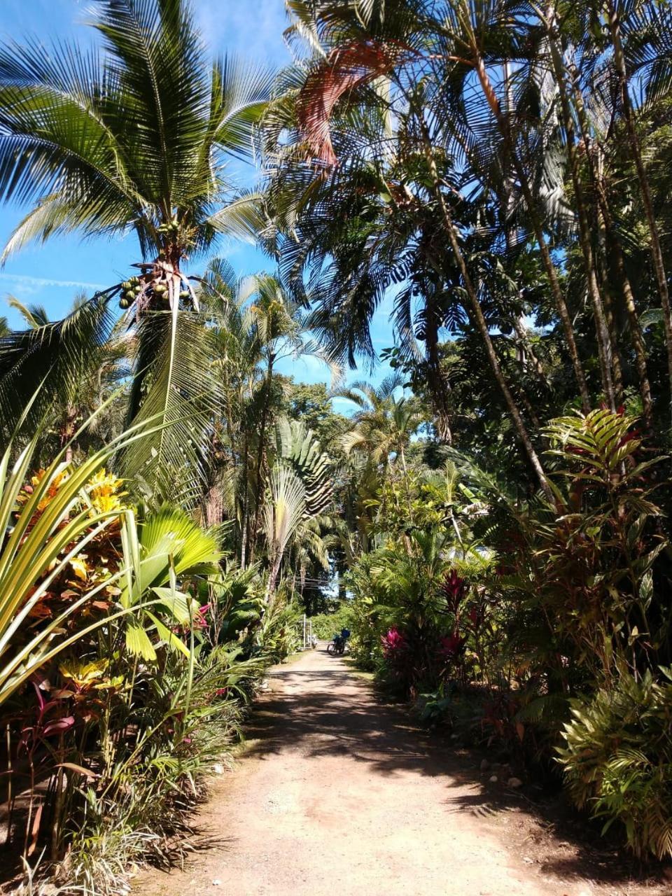 Tasty Dayz Hostel Puerto Viejo de Talamanca 外观 照片