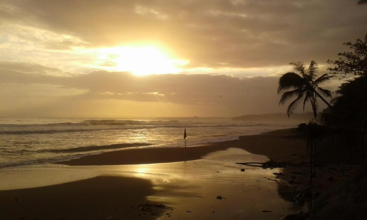 Tasty Dayz Hostel Puerto Viejo de Talamanca 外观 照片