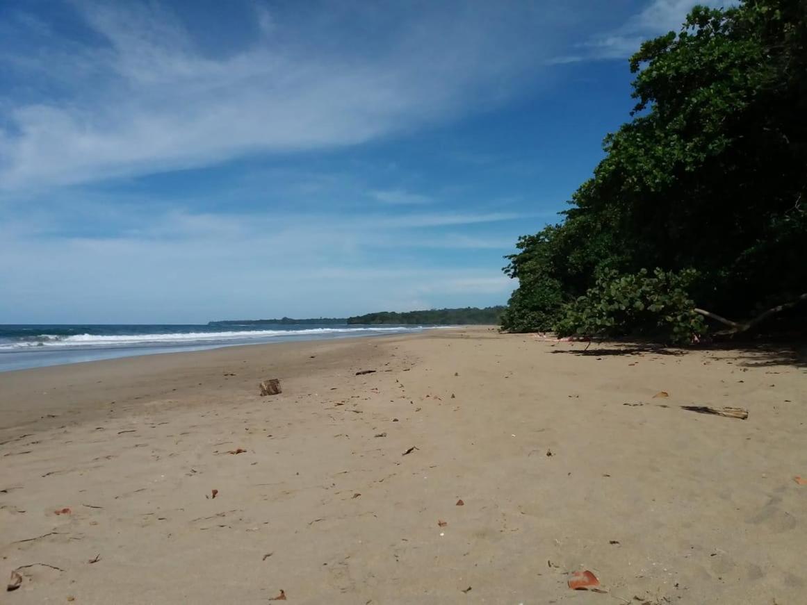 Tasty Dayz Hostel Puerto Viejo de Talamanca 外观 照片