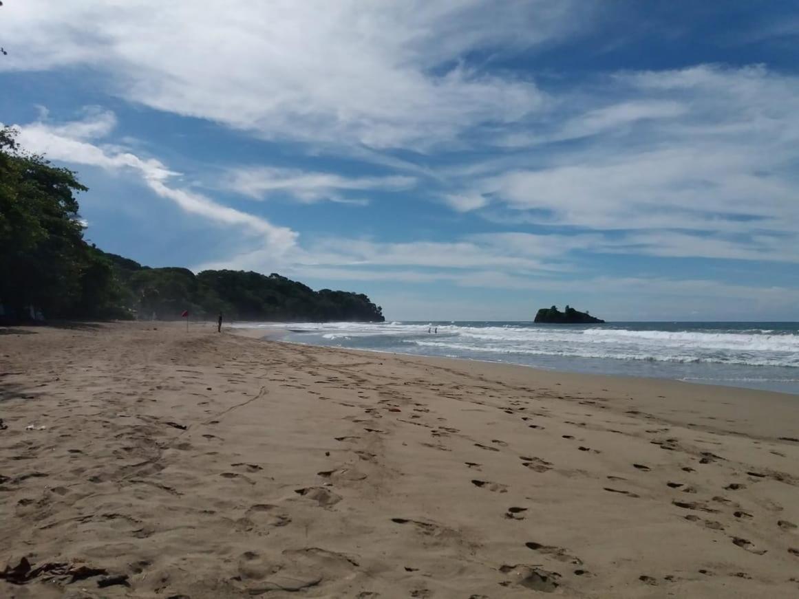 Tasty Dayz Hostel Puerto Viejo de Talamanca 外观 照片