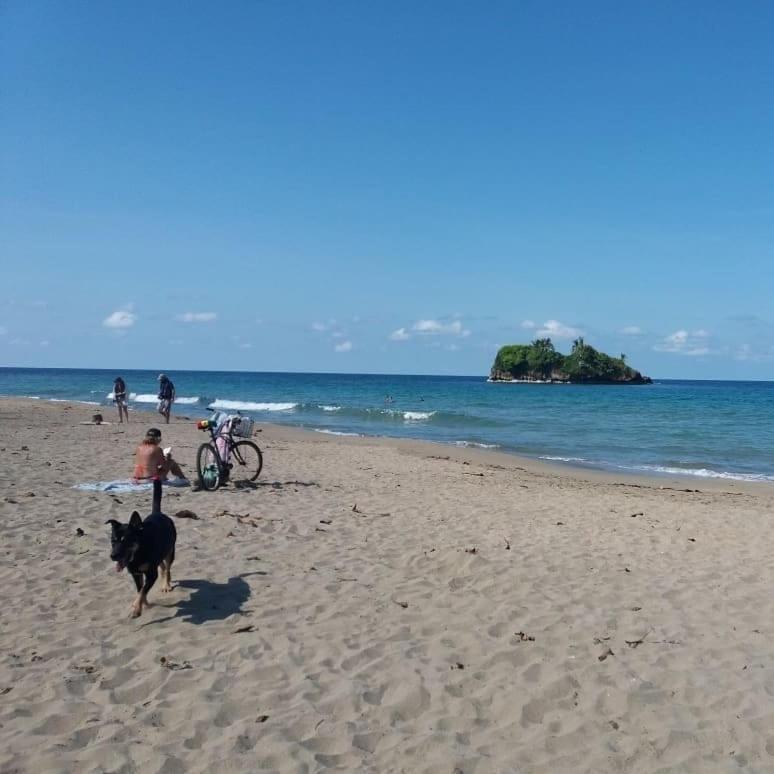Tasty Dayz Hostel Puerto Viejo de Talamanca 外观 照片
