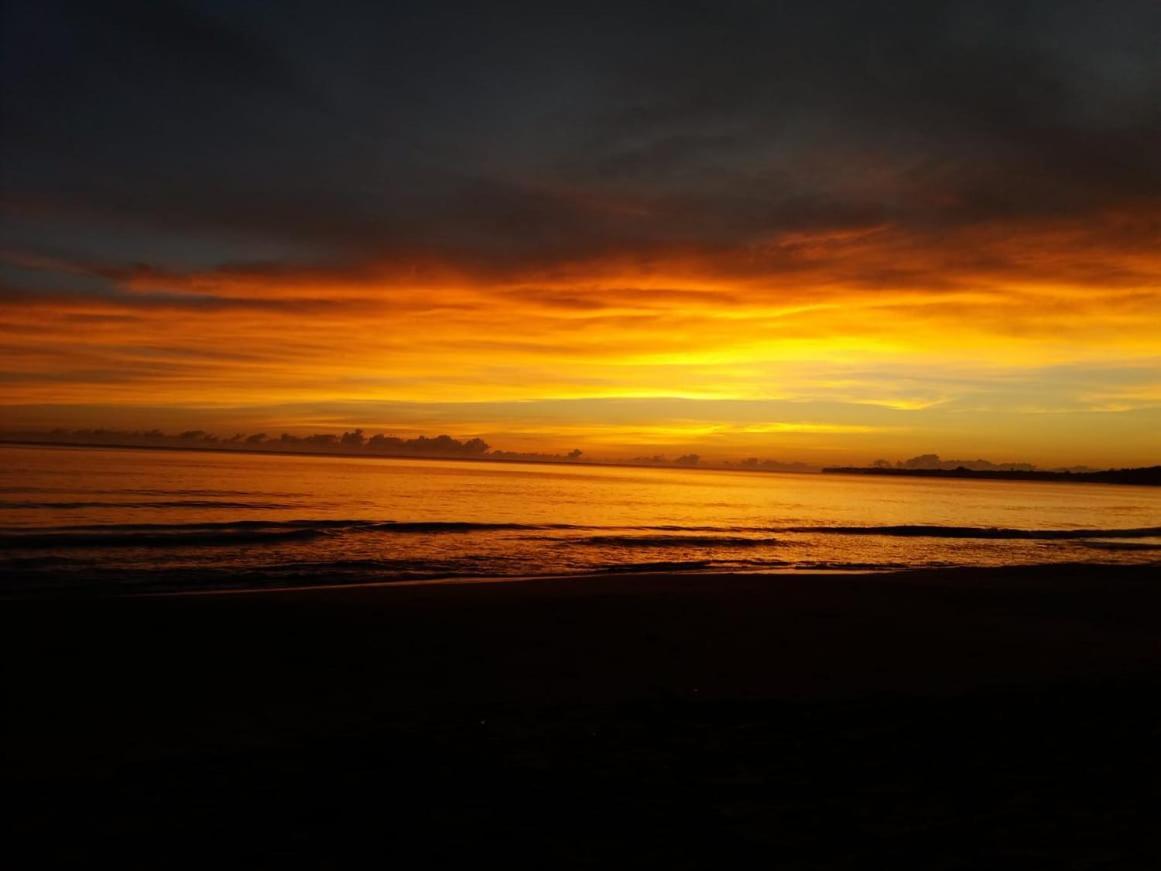Tasty Dayz Hostel Puerto Viejo de Talamanca 外观 照片