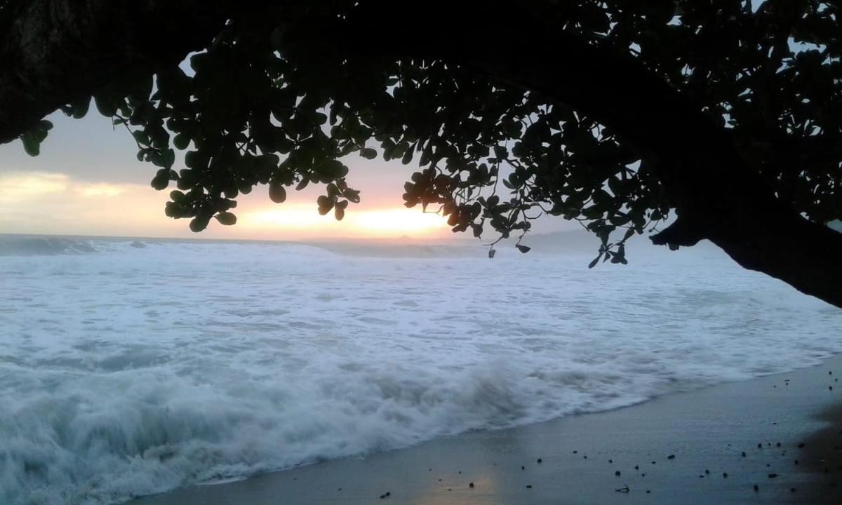 Tasty Dayz Hostel Puerto Viejo de Talamanca 外观 照片