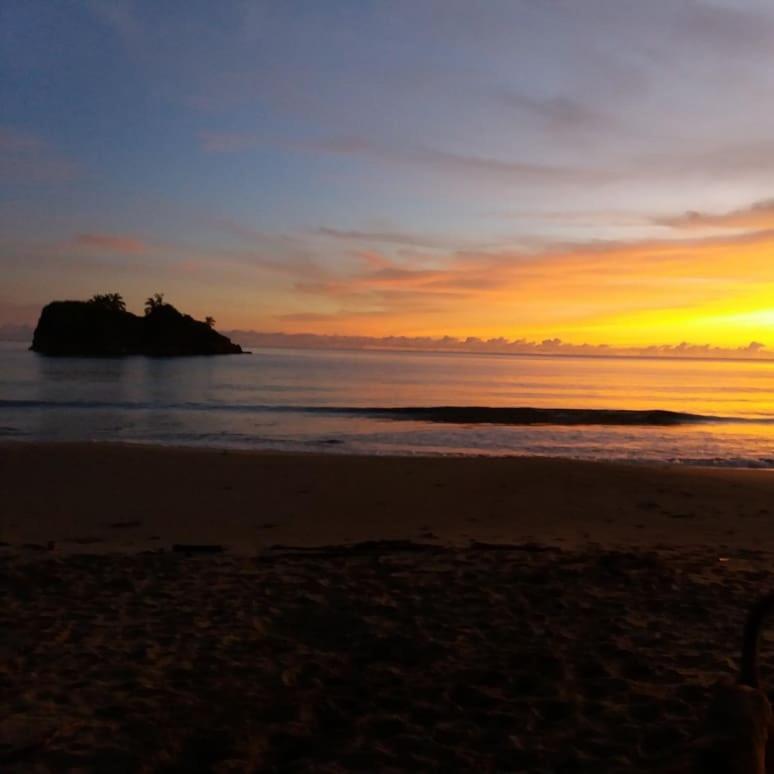 Tasty Dayz Hostel Puerto Viejo de Talamanca 外观 照片