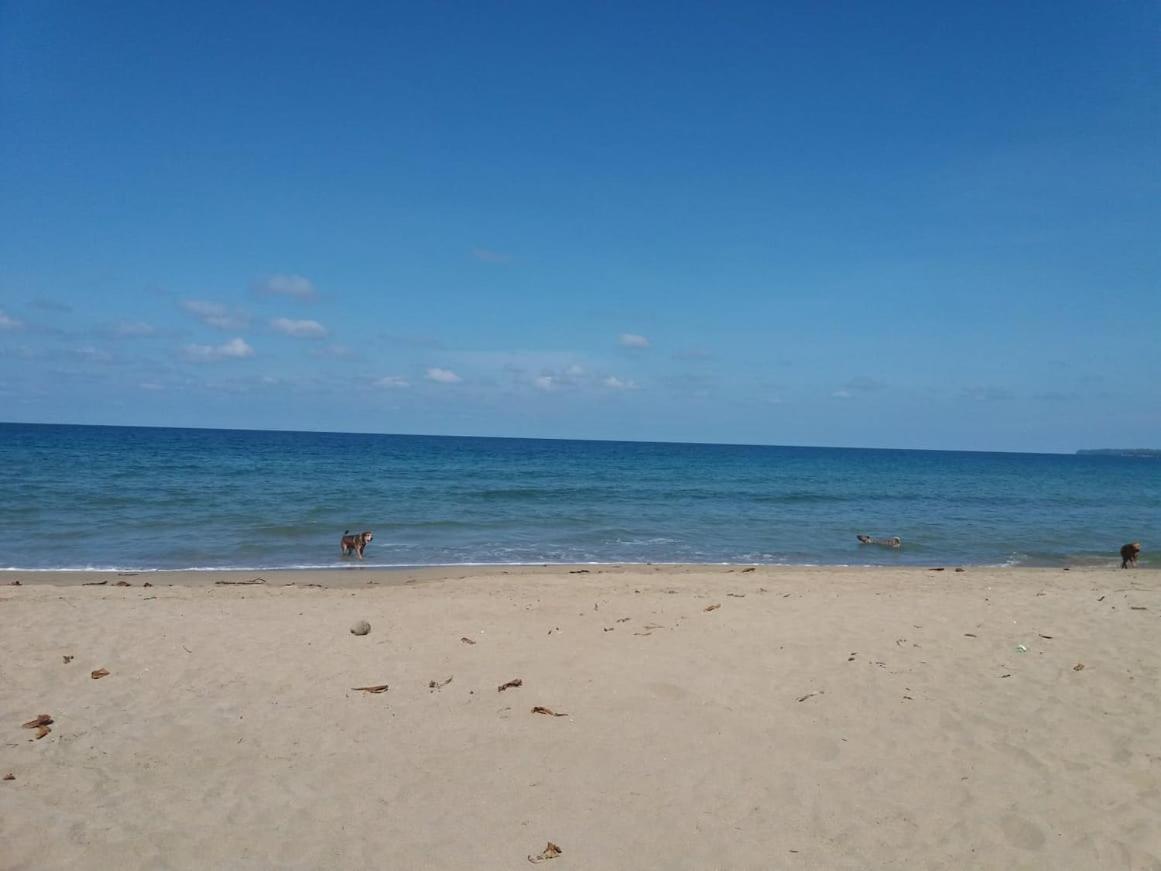 Tasty Dayz Hostel Puerto Viejo de Talamanca 外观 照片