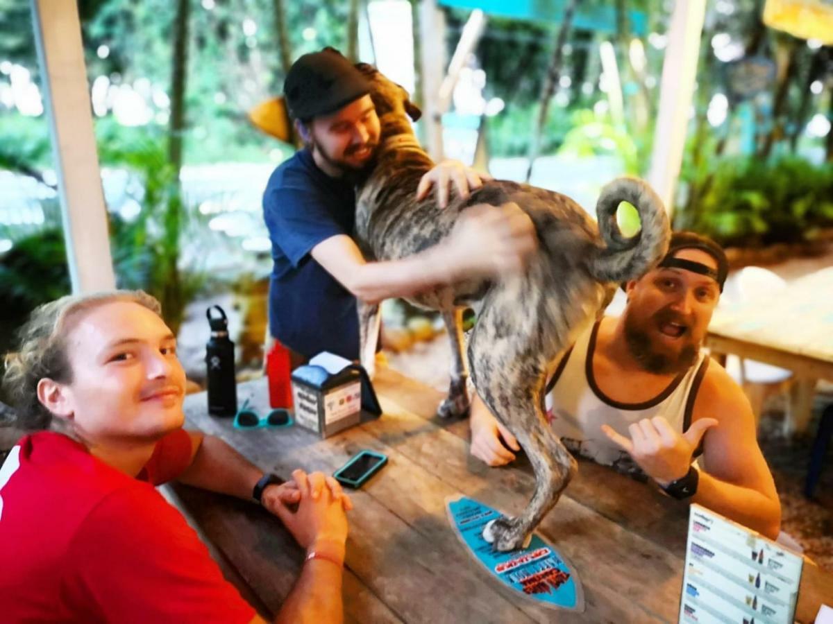 Tasty Dayz Hostel Puerto Viejo de Talamanca 外观 照片