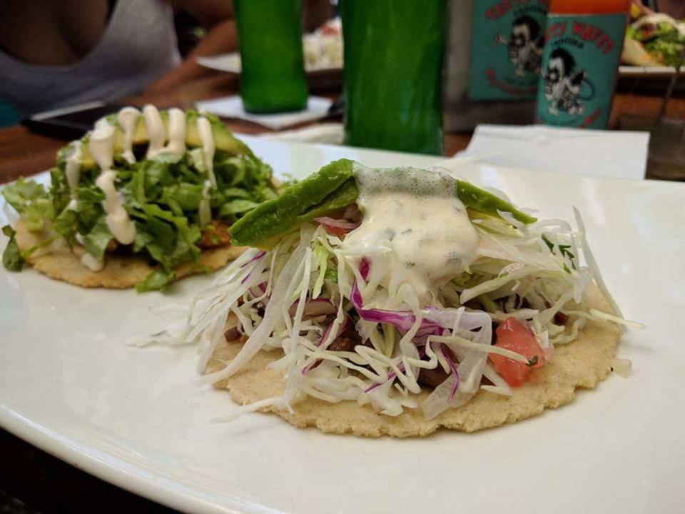 Tasty Dayz Hostel Puerto Viejo de Talamanca 外观 照片
