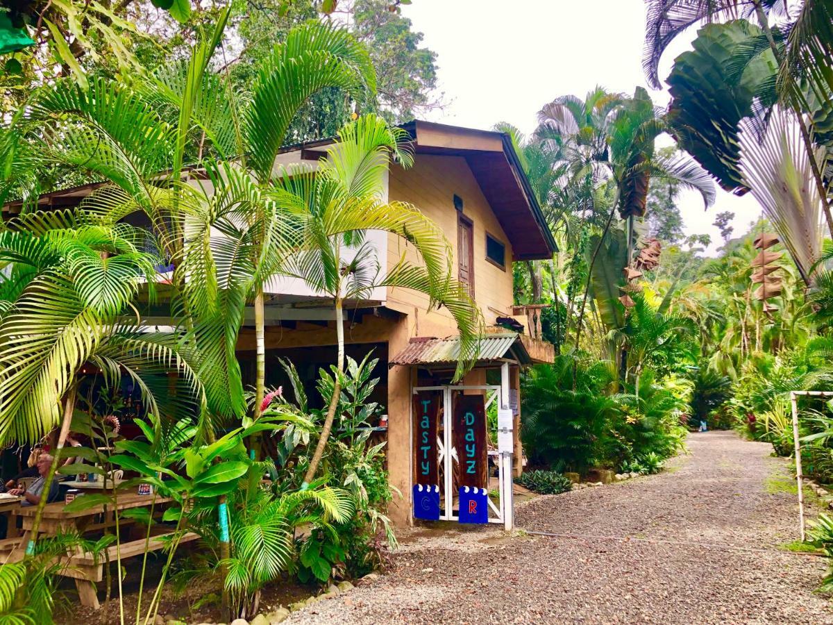 Tasty Dayz Hostel Puerto Viejo de Talamanca 外观 照片