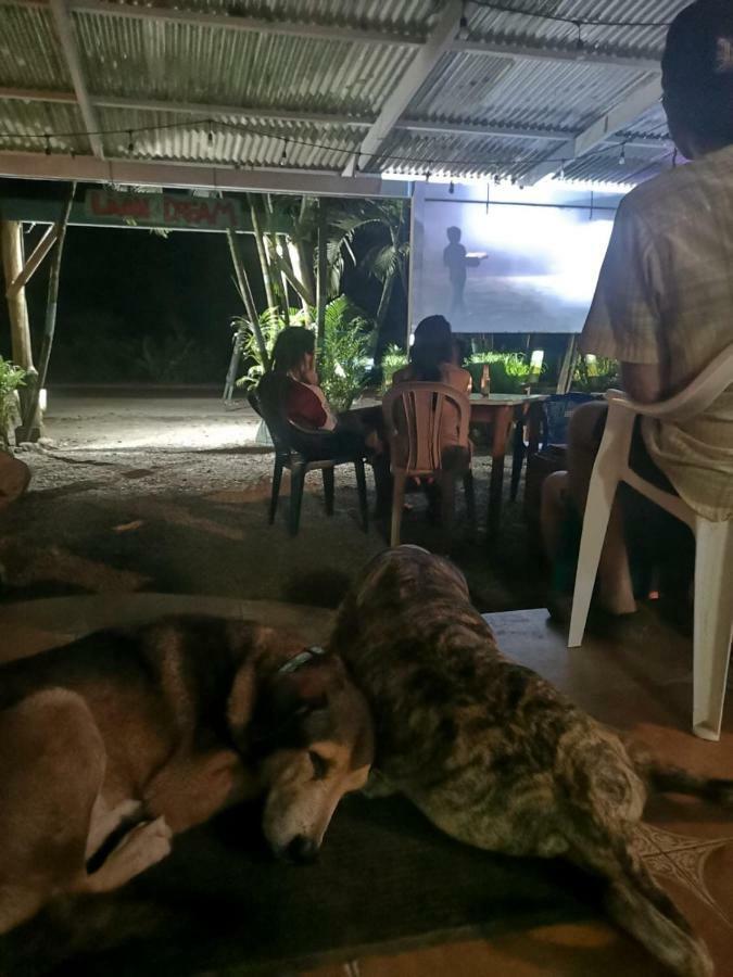 Tasty Dayz Hostel Puerto Viejo de Talamanca 外观 照片