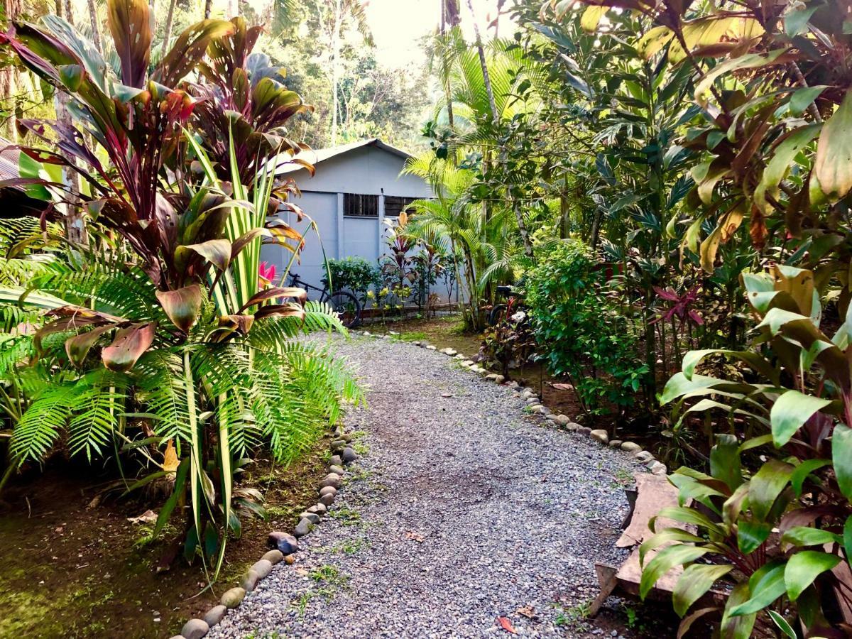 Tasty Dayz Hostel Puerto Viejo de Talamanca 外观 照片