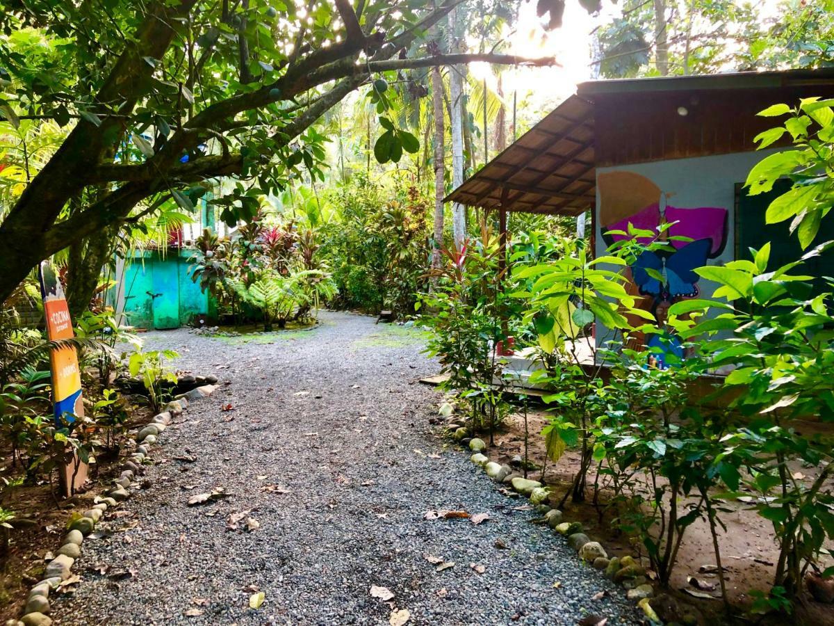Tasty Dayz Hostel Puerto Viejo de Talamanca 外观 照片