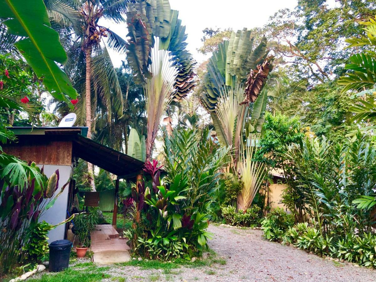 Tasty Dayz Hostel Puerto Viejo de Talamanca 外观 照片