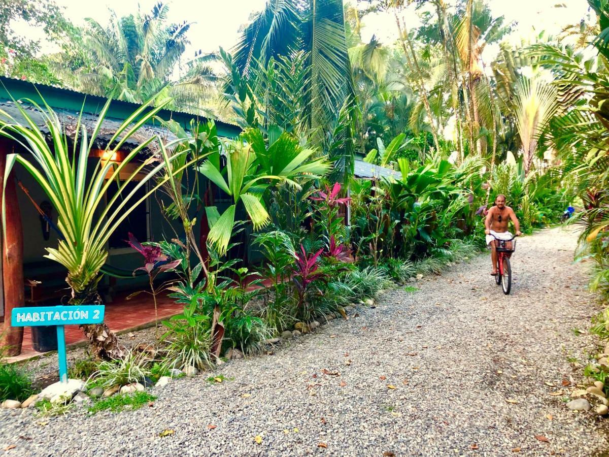Tasty Dayz Hostel Puerto Viejo de Talamanca 外观 照片
