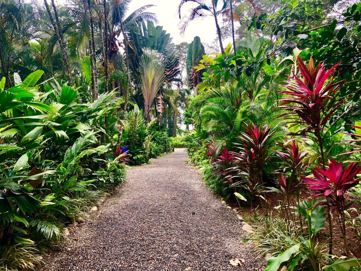Tasty Dayz Hostel Puerto Viejo de Talamanca 外观 照片