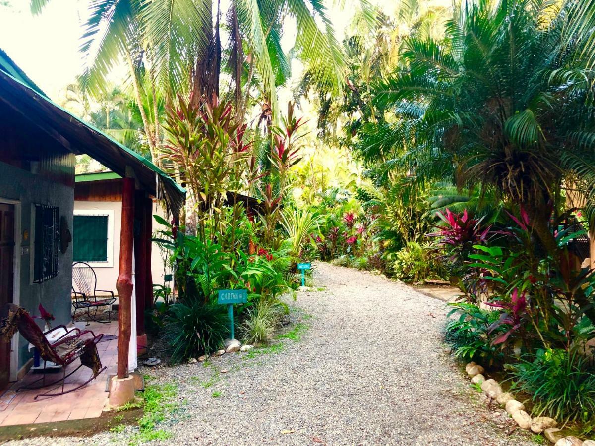 Tasty Dayz Hostel Puerto Viejo de Talamanca 外观 照片